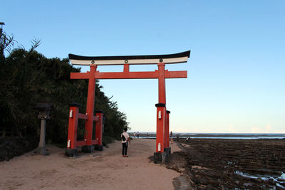 Rear view of man on beach against clear sky