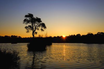 Silhouette trees by lake against sky during sunset