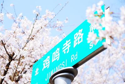Low angle view of sign board against blue sky