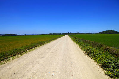 Scenic view of field against clear blue sky