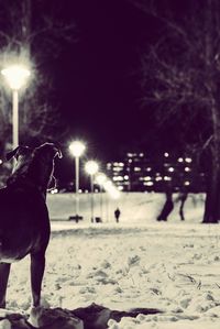 Street light in dark room