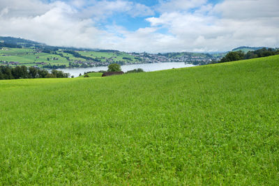 Beautiful landscape in switzerland alps. lucerne lake