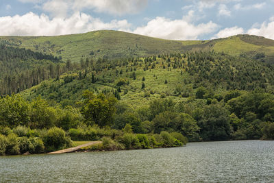 Scenic view of tree by lake against sky