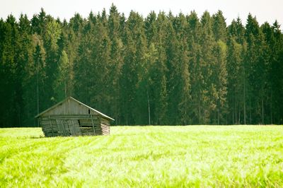 Scenic view of farm and trees on field