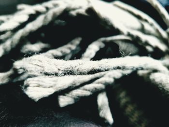 Close-up of rope