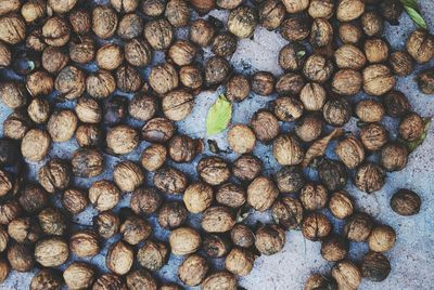 High angle view of walnuts