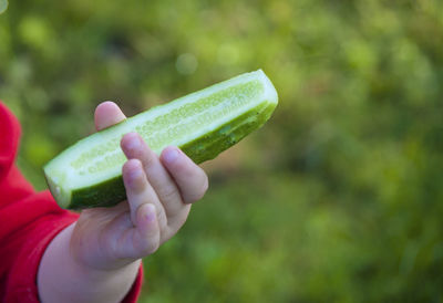 Close-up of hand holding leaf