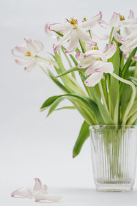 Close-up of white flower vase on table