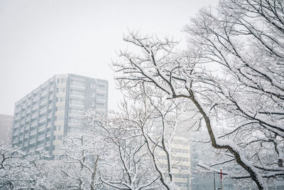 Low angle view of tree and building against sky