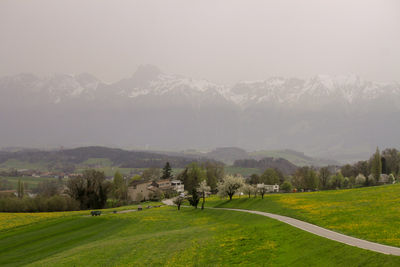 Scenic view of landscape against sky