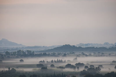 Scenic view of landscape against sky