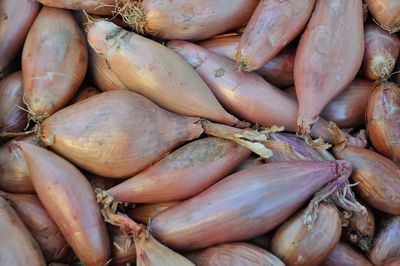 Full frame shot of carrots for sale at market stall