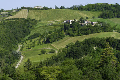 Scenic view of agricultural field