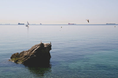 Scenic view of calm sea