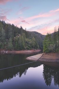 Reflection of trees in lake against sky at sunset