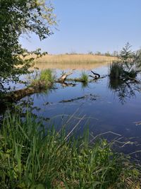 Scenic view of lake against clear sky