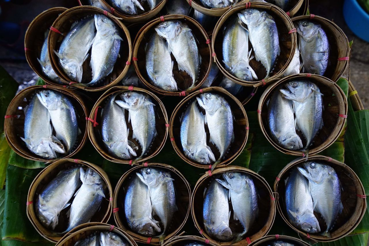 CLOSE-UP OF FISH FOR SALE IN MARKET