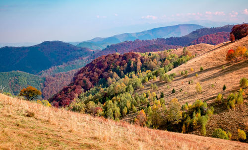 Romanian mountains in autumn season, cindrel mountains, paltinis area, sibiu county, central romania