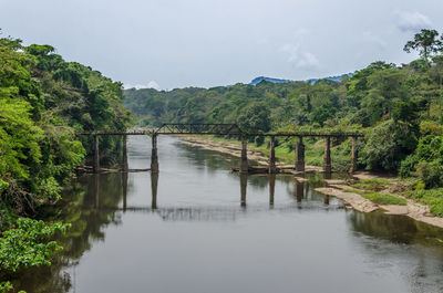 Scenic view of river amidst trees against sky