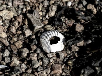 Close-up of stones