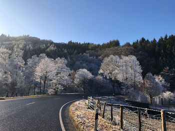 Road by trees against clear sky