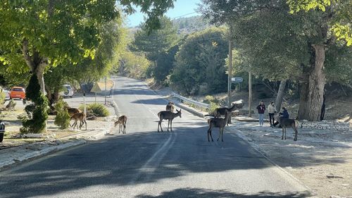 Group of people on the road