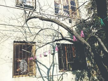 Bare tree against building in city