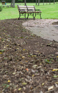 Grass in park