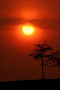 Silhouette tree against romantic sky at sunset