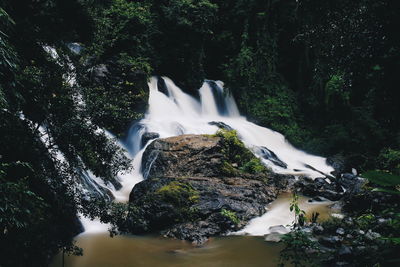 Scenic view of waterfall in forest