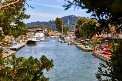 Boats in harbor