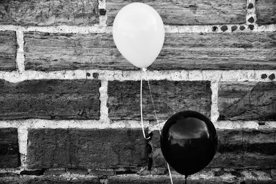 Close-up of balloon balloons