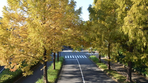 Empty road amidst trees against sky