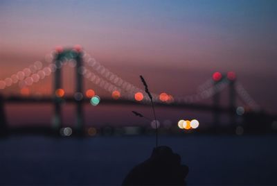 Defocused image of illuminated string lights at sunset