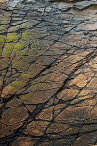 Full frame shot of cracked land