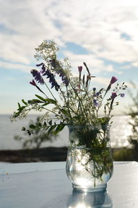 Close-up of flowers in vase on table