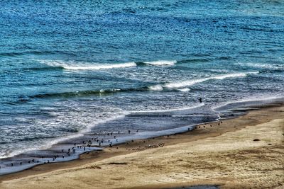 Scenic view of beach