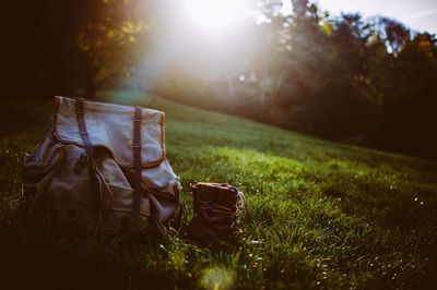 Bag and purse on grass at park