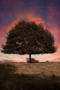 Tree on field against sky during sunset