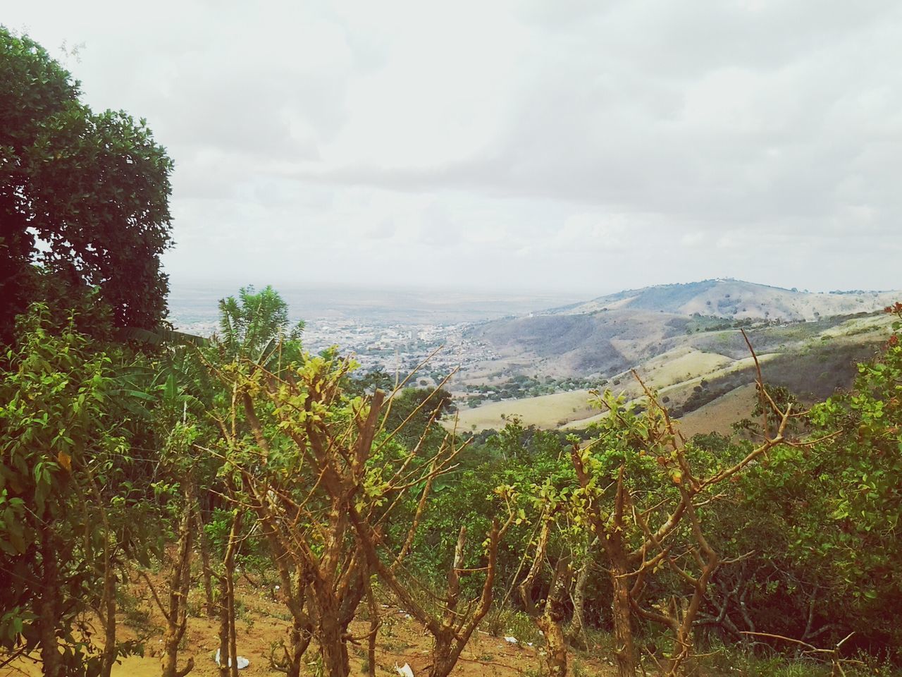 sky, tranquil scene, tranquility, tree, scenics, mountain, beauty in nature, cloud - sky, nature, landscape, cloudy, growth, cloud, idyllic, plant, non-urban scene, green color, day, outdoors, remote