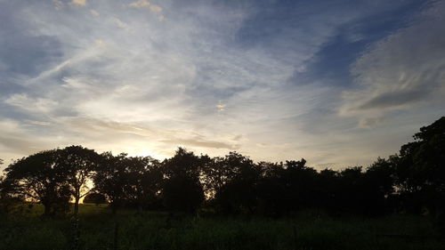 Silhouette trees against sky at sunset