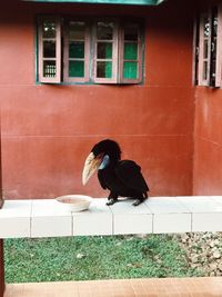 Full length of woman sitting on window of building