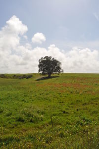 Scenic view of grassy field against cloudy sky