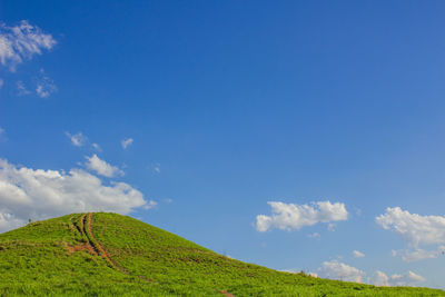 Scenic view of agricultural field against blue sky