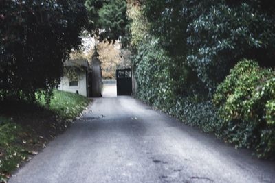 Road amidst trees