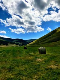 Scenic view of farm against sky