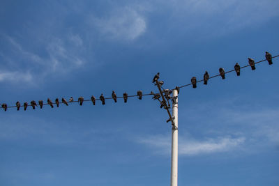 Low angle view of electricity pylon against sky