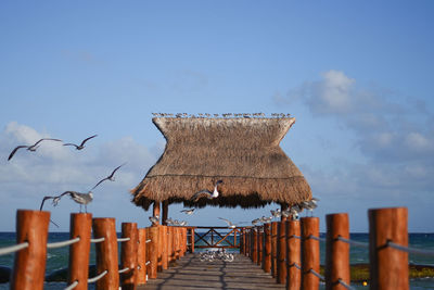 Scenic view of beach against clear sky