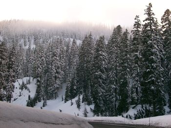 Scenic view of snow covered mountain