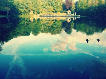 Scenic view of lake in park